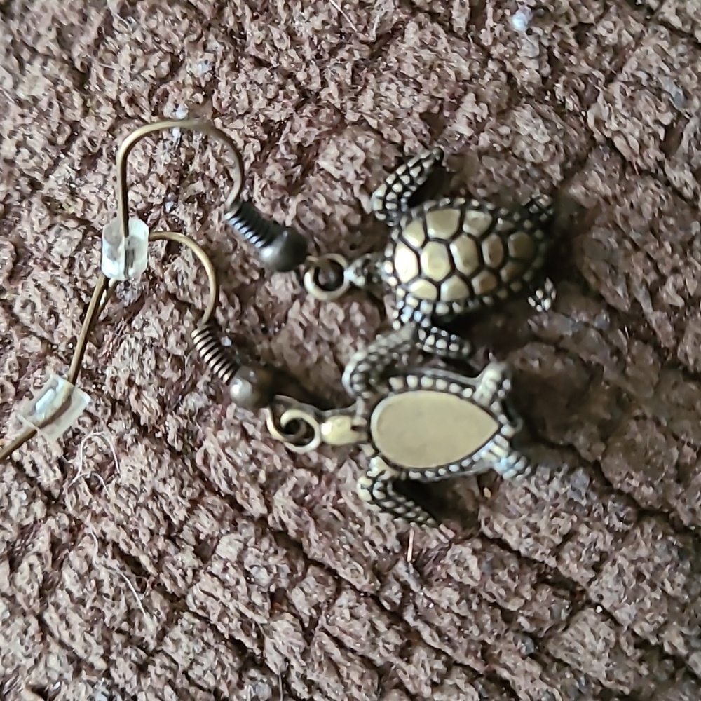 - Sea Turtles - Picture 3 of 3